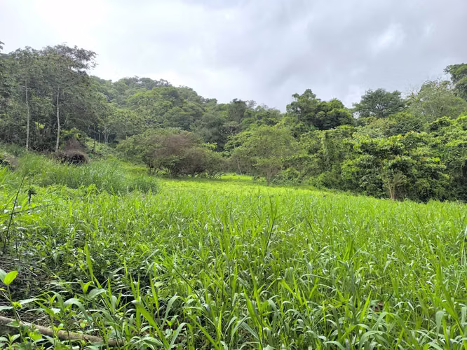 Finca en venta en La Fortuna, vistas al Volcán y al Lago - Imagen 14