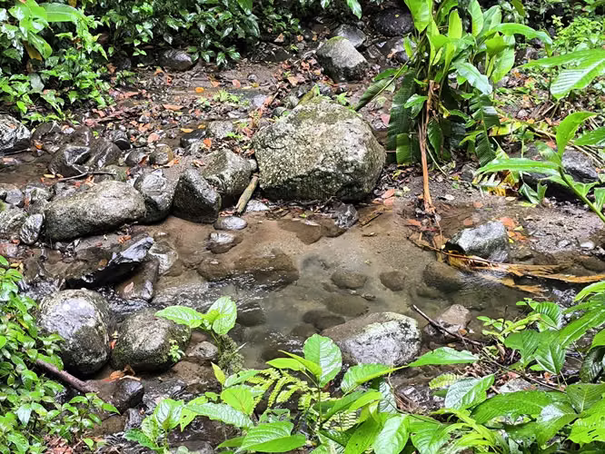 Finca en venta en La Fortuna, vistas al Volcán y al Lago - Imagen 20