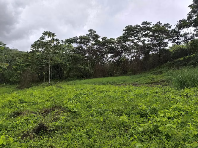 Finca en venta en La Fortuna, vistas al Volcán y al Lago - Imagen 15