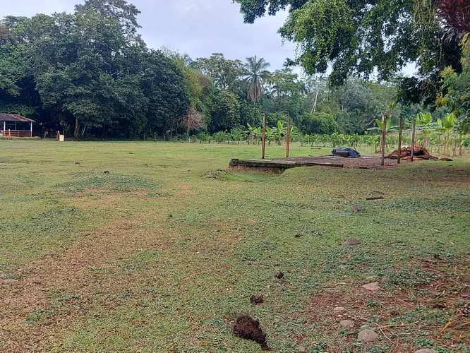 Terreno para residencias, comercio o servicios en La Virgen, Sarapiquí - Imagen 5