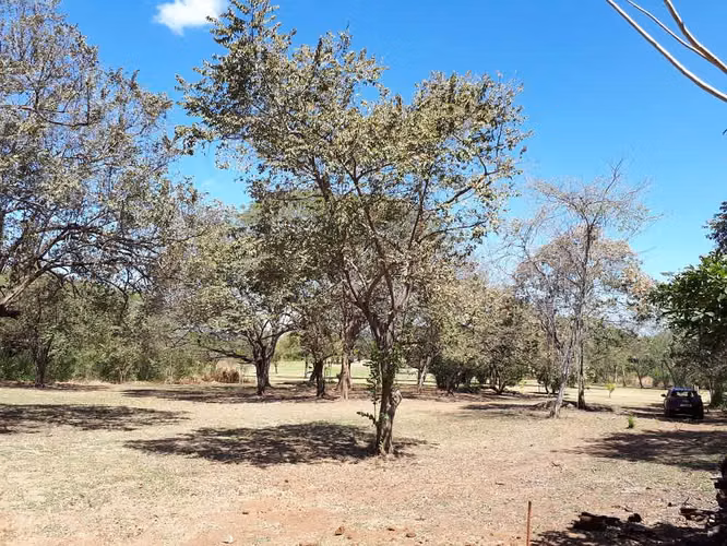 Se vende lote frente a campo de Golf en Guanacaste - Imagen 13