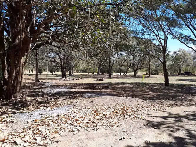 Se vende lote frente a campo de Golf en Guanacaste - Imagen 3