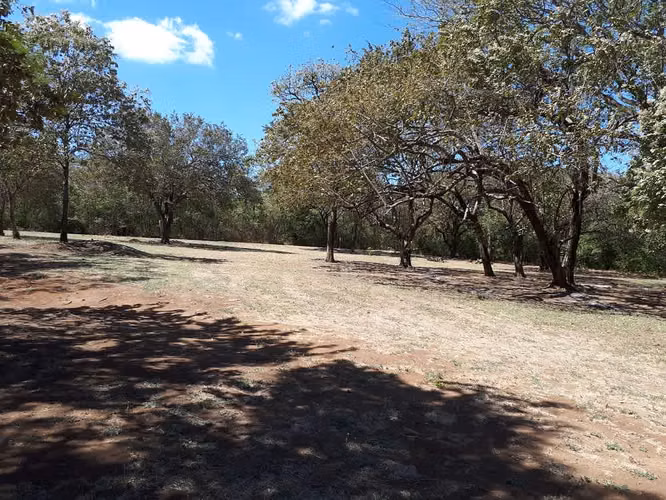 Se vende lote frente a campo de Golf en Guanacaste - Imagen 16