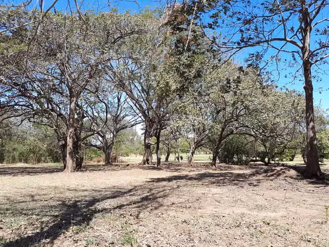 Se vende lote frente a campo de Golf en Guanacaste - Imagen 14