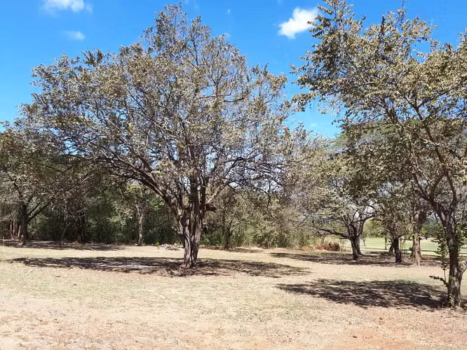 Se vende lote frente a campo de Golf en Guanacaste - Imagen 12