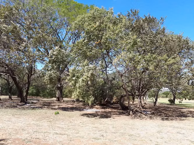 Se vende lote frente a campo de Golf en Guanacaste - Imagen 17