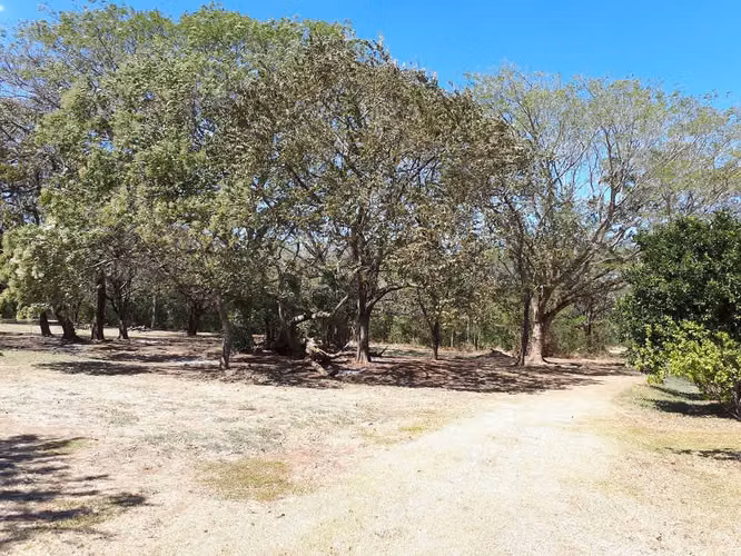 Se vende lote frente a campo de Golf en Guanacaste - Imagen 18