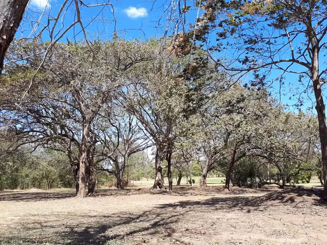 Se vende lote frente a campo de Golf en Guanacaste - Imagen 15