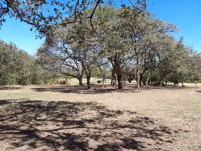 Se vende lote frente a campo de Golf en Guanacaste - Imagen 9