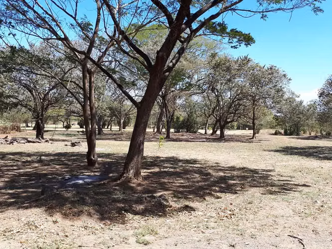 Se vende lote frente a campo de Golf en Guanacaste - Imagen 6