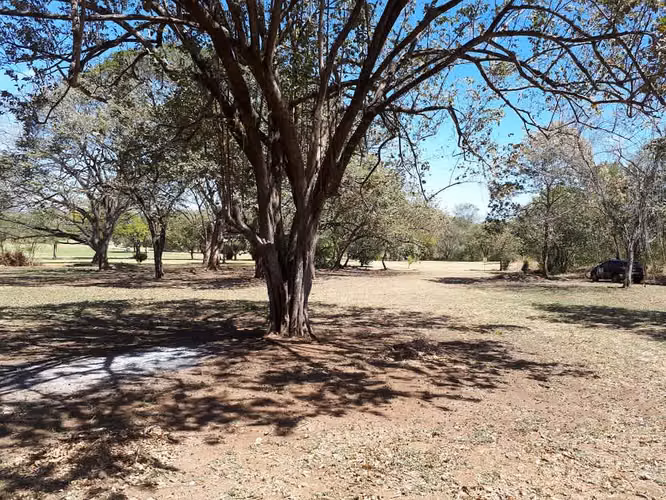 Se vende lote frente a campo de Golf en Guanacaste - Imagen 8