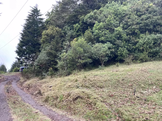 Finca en venta en Poás, Ideal para Proyecto Ecoturístico