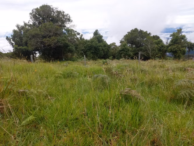 Finca en venta en Poás, Ideal para Proyecto Ecoturístico