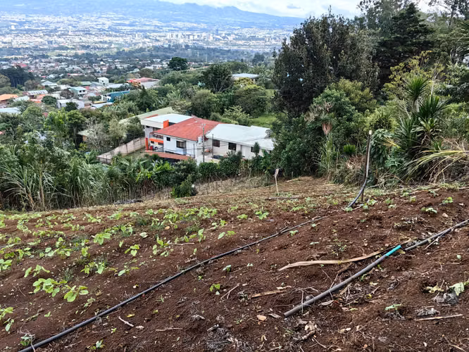 LOTE EN VENTA San Antonio de Escazú - Imagen 2
