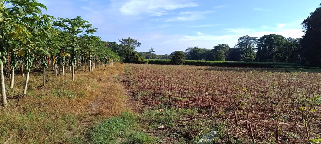 Terreno en Venta de 77 mil metros cuadrados - Imagen 3