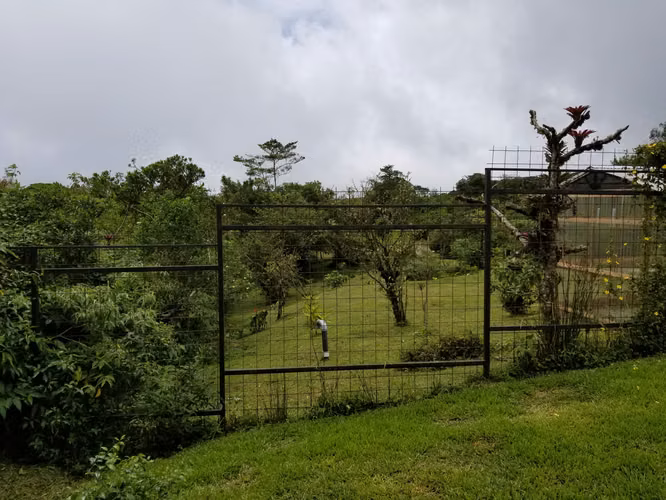 Se vende CASA DE 4 HAB., 4 BAÑOS  EN CASCAJAL - Imagen 5