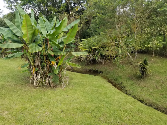 Se vende CASA DE 4 HAB., 4 BAÑOS  EN CASCAJAL - Imagen 14