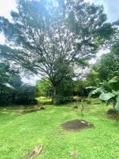 La Garita Se Vende Linda  Quinta  13 207 Mts2  Con Amplia Casa Amueblada - Imagen 19