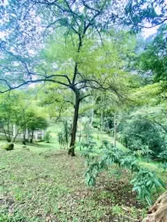 La Garita Se Vende Linda  Quinta  13 207 Mts2  Con Amplia Casa Amueblada - Imagen 20