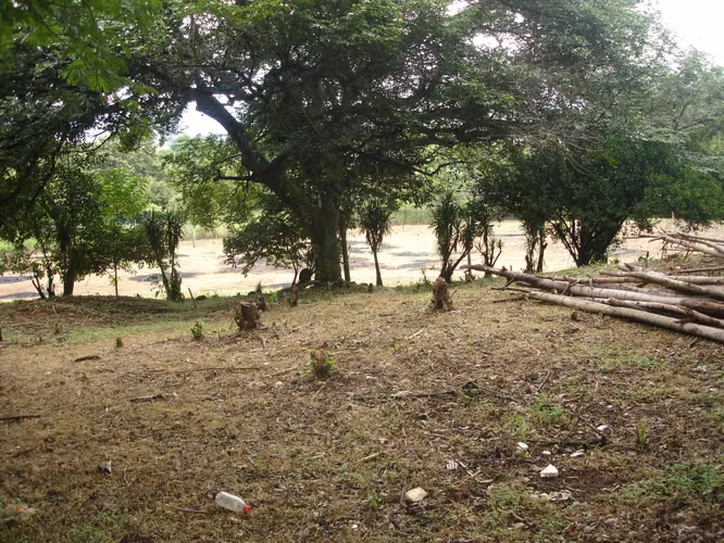 Venta de terreno en el Coyol de Alajuela