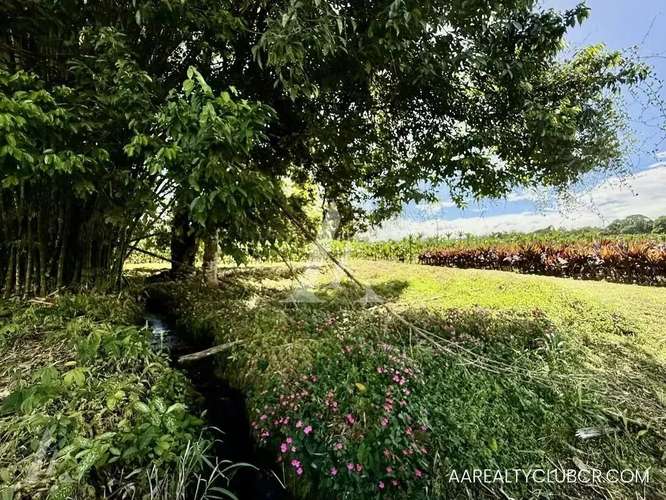 FINCA EN GUÁPILES . USO DE SUELO MIXTO