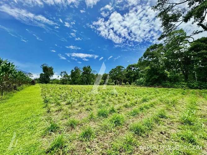 FINCA EN GUÁPILES . USO DE SUELO MIXTO