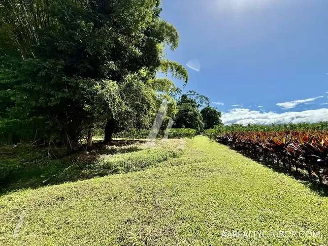 FINCA EN GUÁPILES . USO DE SUELO MIXTO