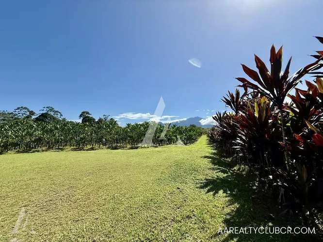FINCA EN GUÁPILES . USO DE SUELO MIXTO