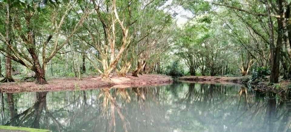 Quinta para la venta en Santa Clara, Florencia de San Carlos