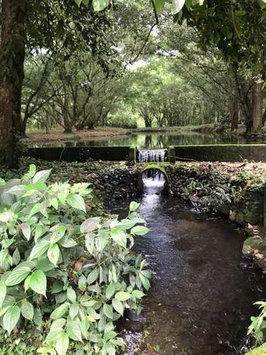 Quinta para la venta en Santa Clara, Florencia de San Carlos