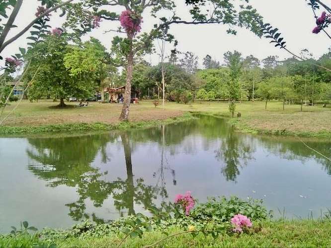 Quinta para la venta en Santa Clara, Florencia de San Carlos
