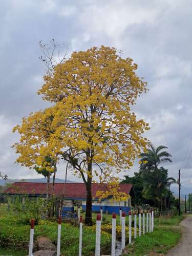 Quinta para la venta en Santa Clara, Florencia de San Carlos