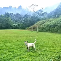 Venta finca San Ramón San Lorenzo ecológica FINANCIAMIENTO DISPONIBLE