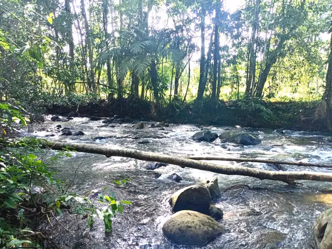 Venta finca San Ramón San Lorenzo ecológica FINANCIAMIENTO DISPONIBLE