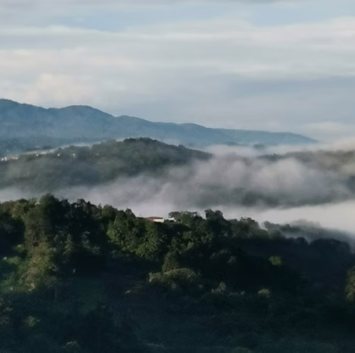 Venta finca San Ramón San Lorenzo ecológica FINANCIAMIENTO DISPONIBLE