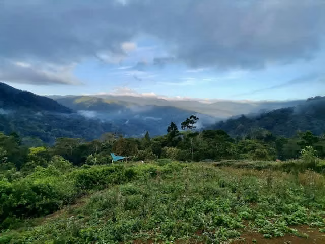 Venta finca San Ramón San Lorenzo ecológica FINANCIAMIENTO DISPONIBLE