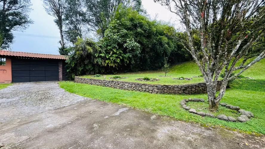 Venta. Coronado. Propiedad con árboles frutales y hermosa vegetación.