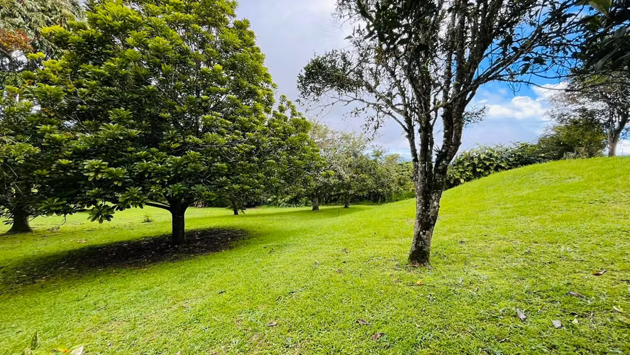 Venta. Coronado. Propiedad con árboles frutales y hermosa vegetación.