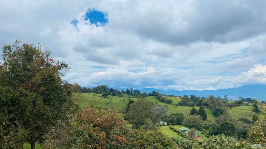 Venta. Coronado. Propiedad con árboles frutales y hermosa vegetación.