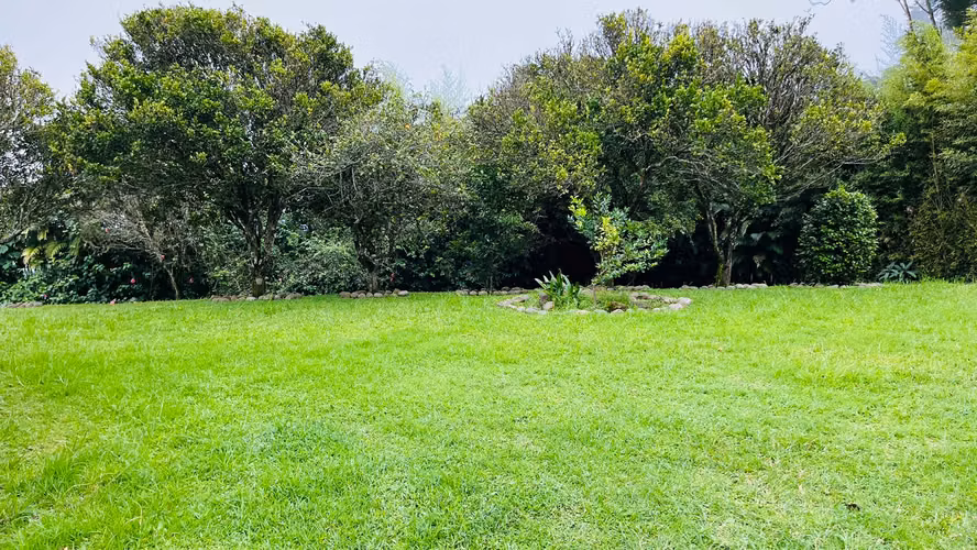 Venta. Coronado. Propiedad con árboles frutales y hermosa vegetación.