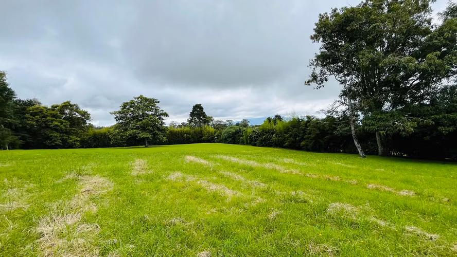 Venta. Coronado. Propiedad con árboles frutales y hermosa vegetación.