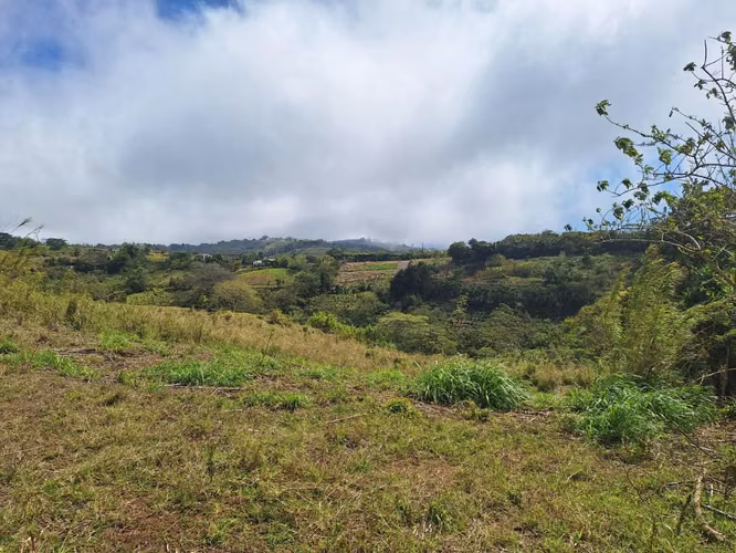 Se vende finca Volio, San Ramon, Alajuela - Imagen 2