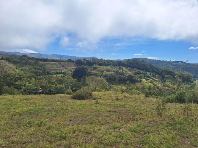 Volio farm for sale, San Ramon, Alajuela