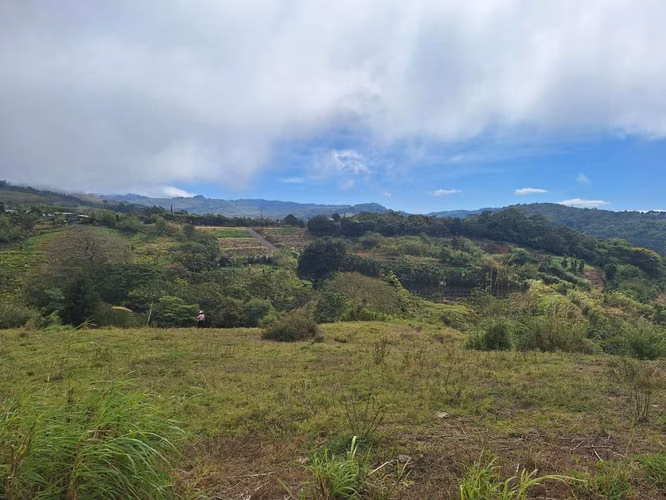 Se vende finca Volio, San Ramon, Alajuela - Imagen 6