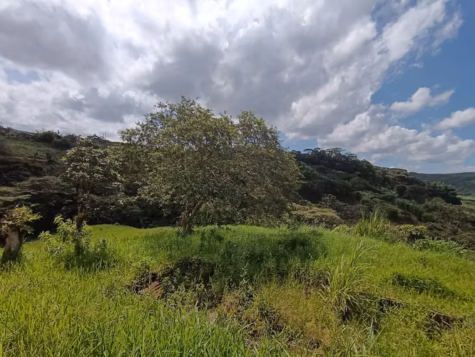 Se vende finca Volio, San Ramon, Alajuela - Imagen 8