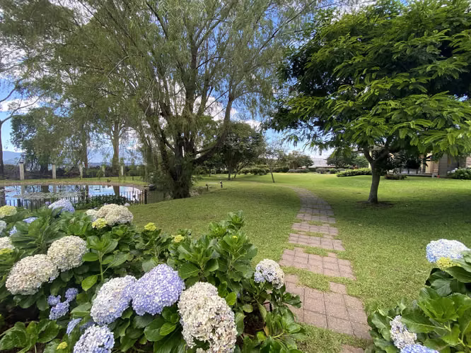 Se vende Condominio El Olivar, Colinas de Montealegre