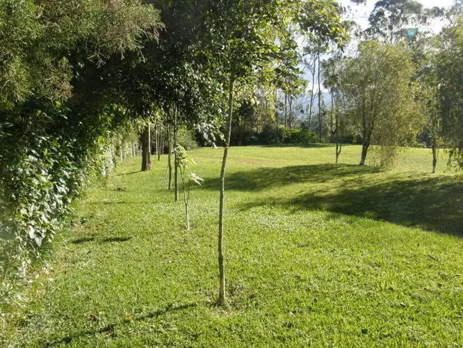 Quinta en Venta en Birrisito de Cartago. ID 12484