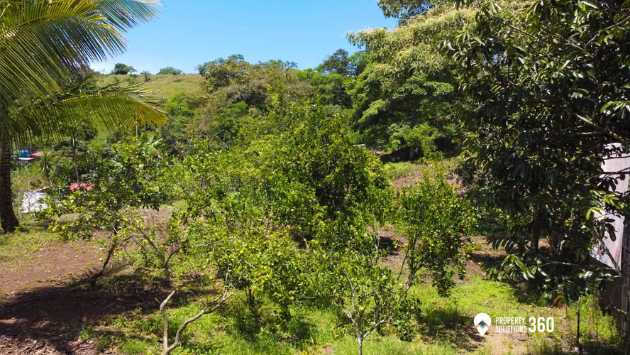 Venta de Lote en Santiago de Puriscal, San Jose (1.400 m2) - Imagen 6