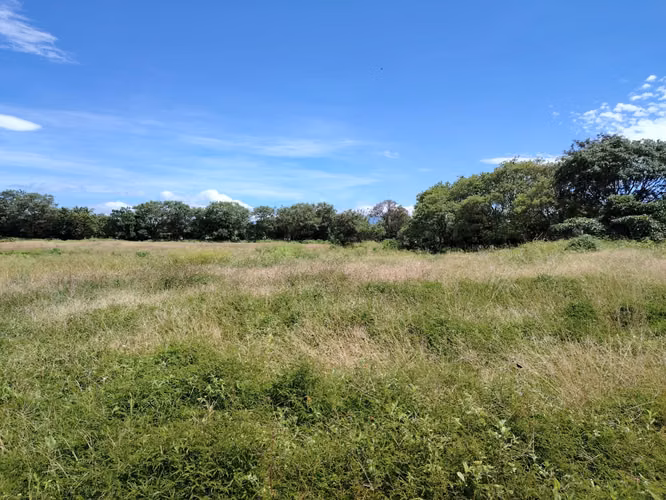 EN VENTA - AMPLIO LOTE PARA DESARROLLO RESIDENCIAL – LA CANADA - Imagen 4