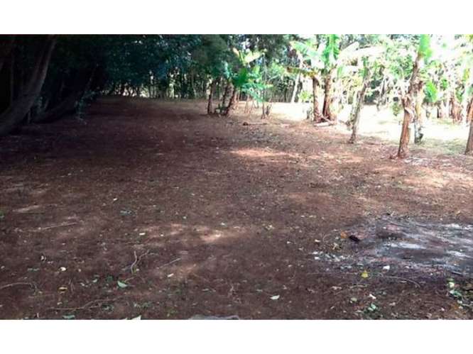 VENTA DE LOTE USO MIXTO, HEREDIA, SAN RAFAEL, CONCEPCION - Imagen 5